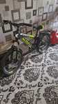 Velosiped Altezza 24