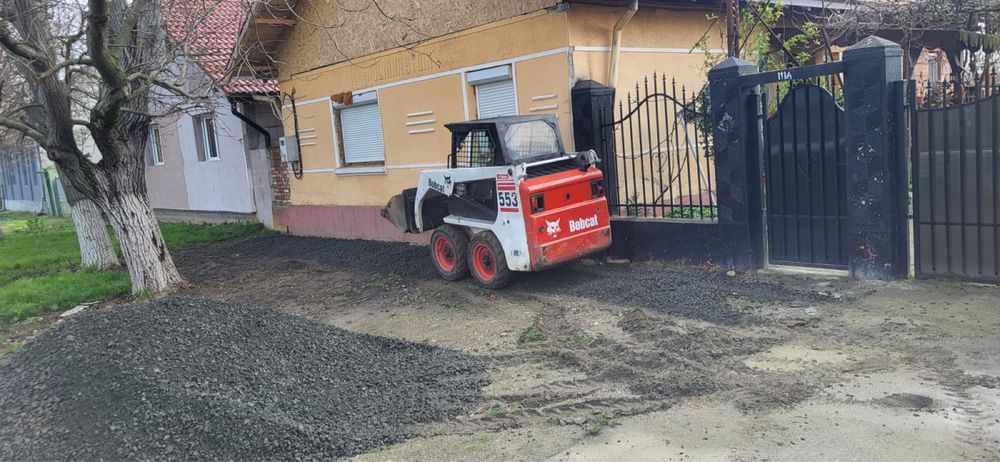 Mraniță de oaie macerată și pământ nisipos