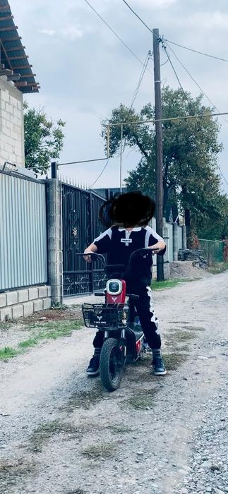 Скутер T-Rex-Bike обмен есть на ерек л100