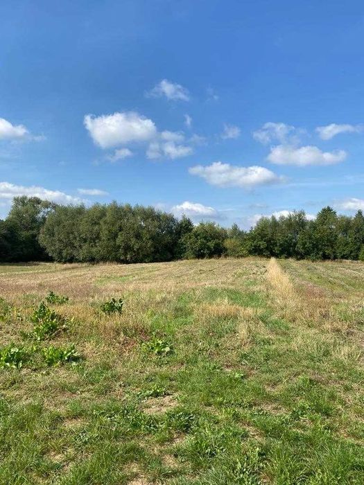 Teren Intravilan Marginea