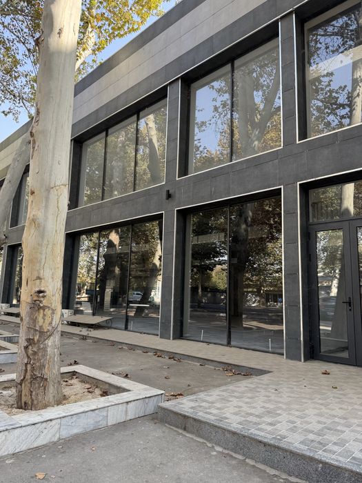 Qibray Mirzo Ulugbek