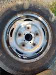 Genti ford transit