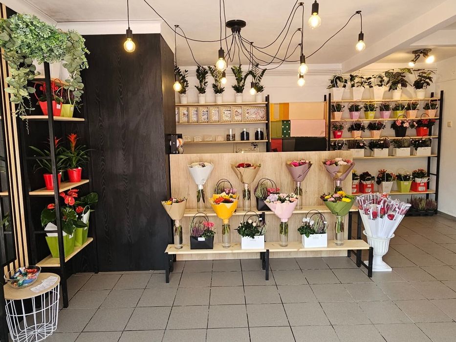 Vand afacere la cheie locație Cavnic, jud. MM