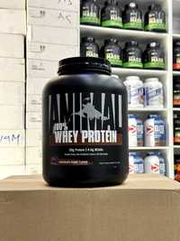 Animal 100% Whey Protein 1.8kg protein, протеин.