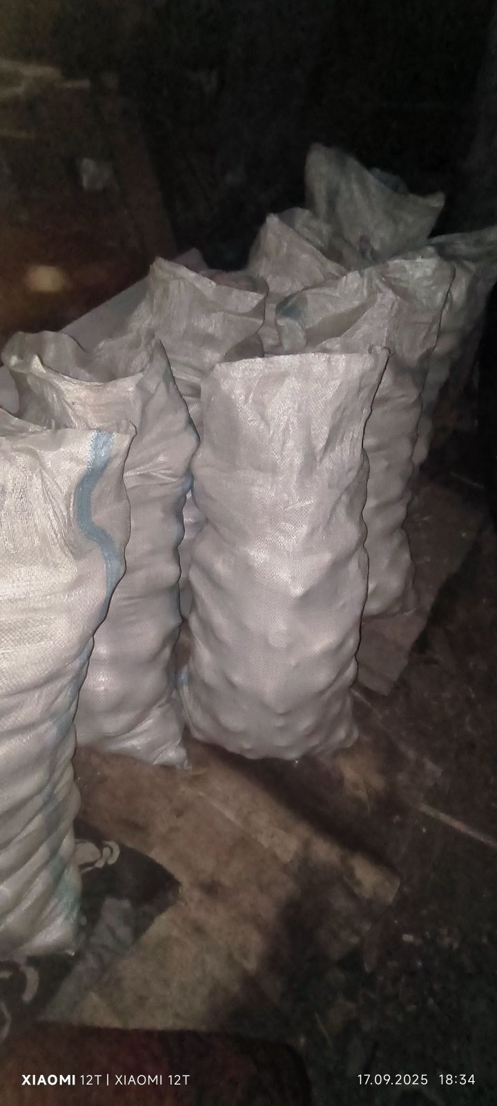 Продам домашнюю картошку