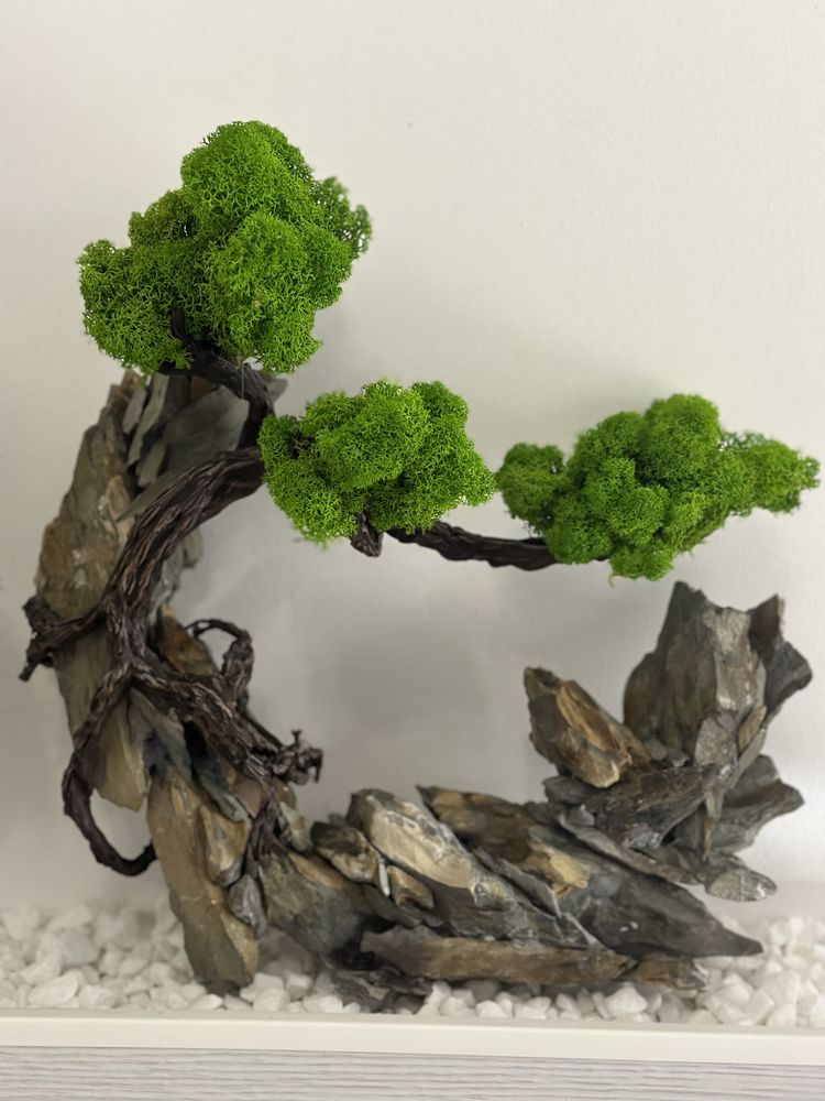 Bonsai artizanal handmade