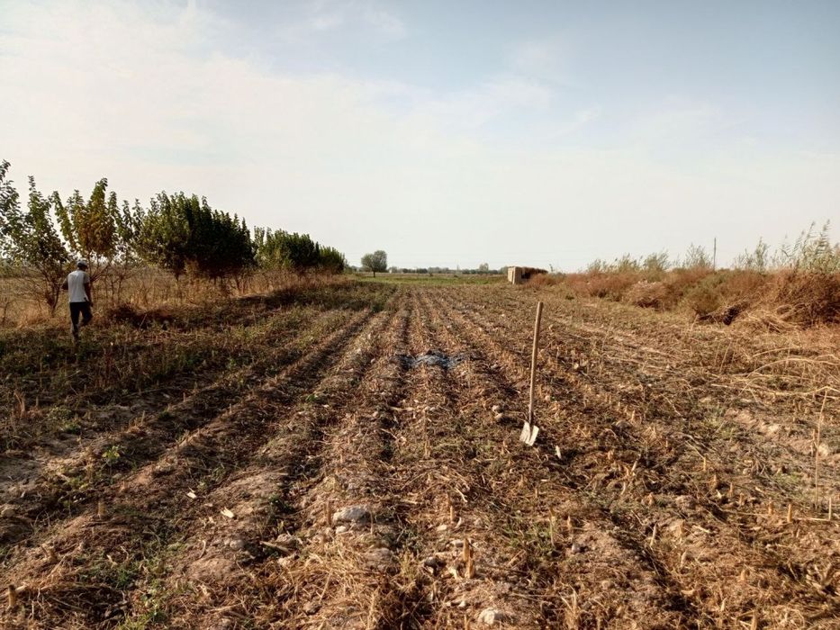 Ер сотилади. 15 сотих, барча хужжатлари бор