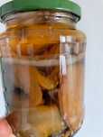 Ciuperca (scoby) Kombucha, gratis