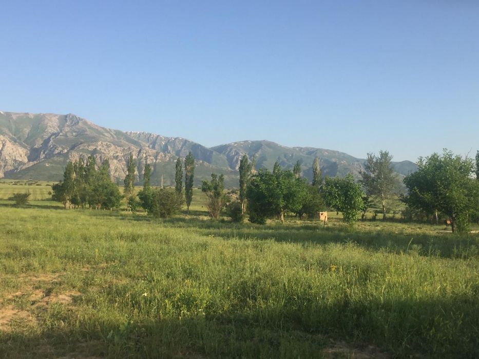 Біркөлікте бітпеген уй 15 соттық жер сатылады 6/6