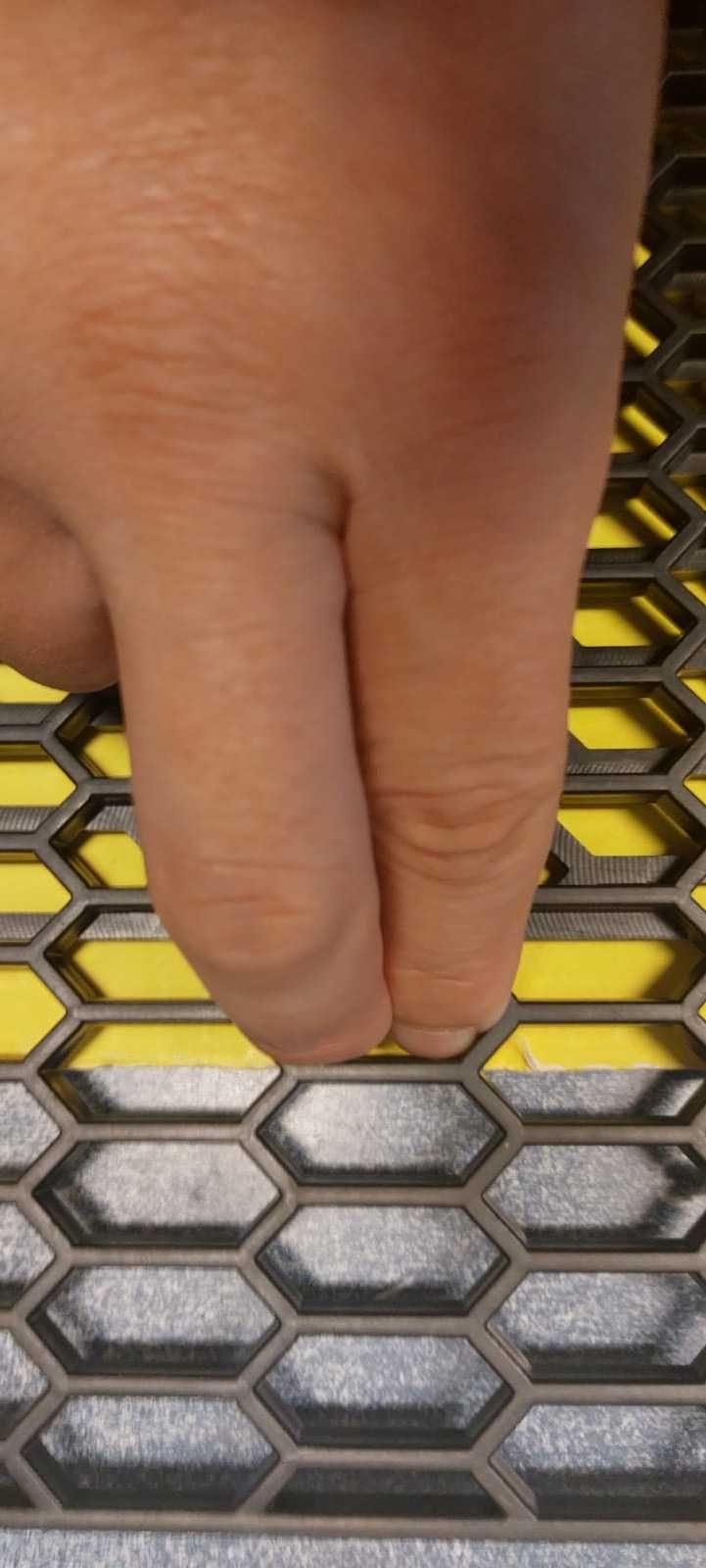 Grila de protectie  in bara auto