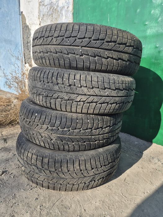Зимний балон 202/65/15