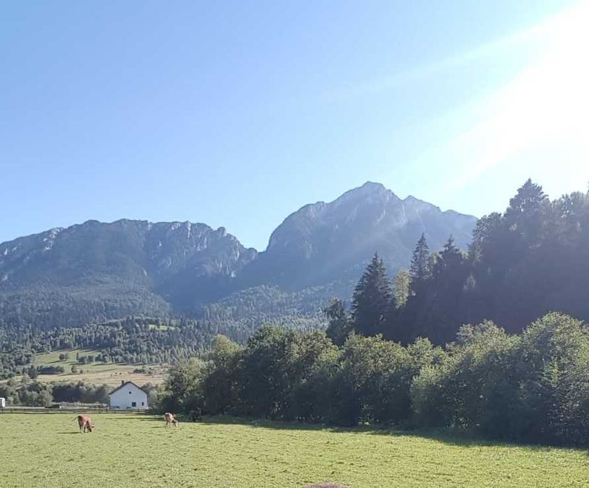 Teren intravilan Zărnești - Bârsa Fierului