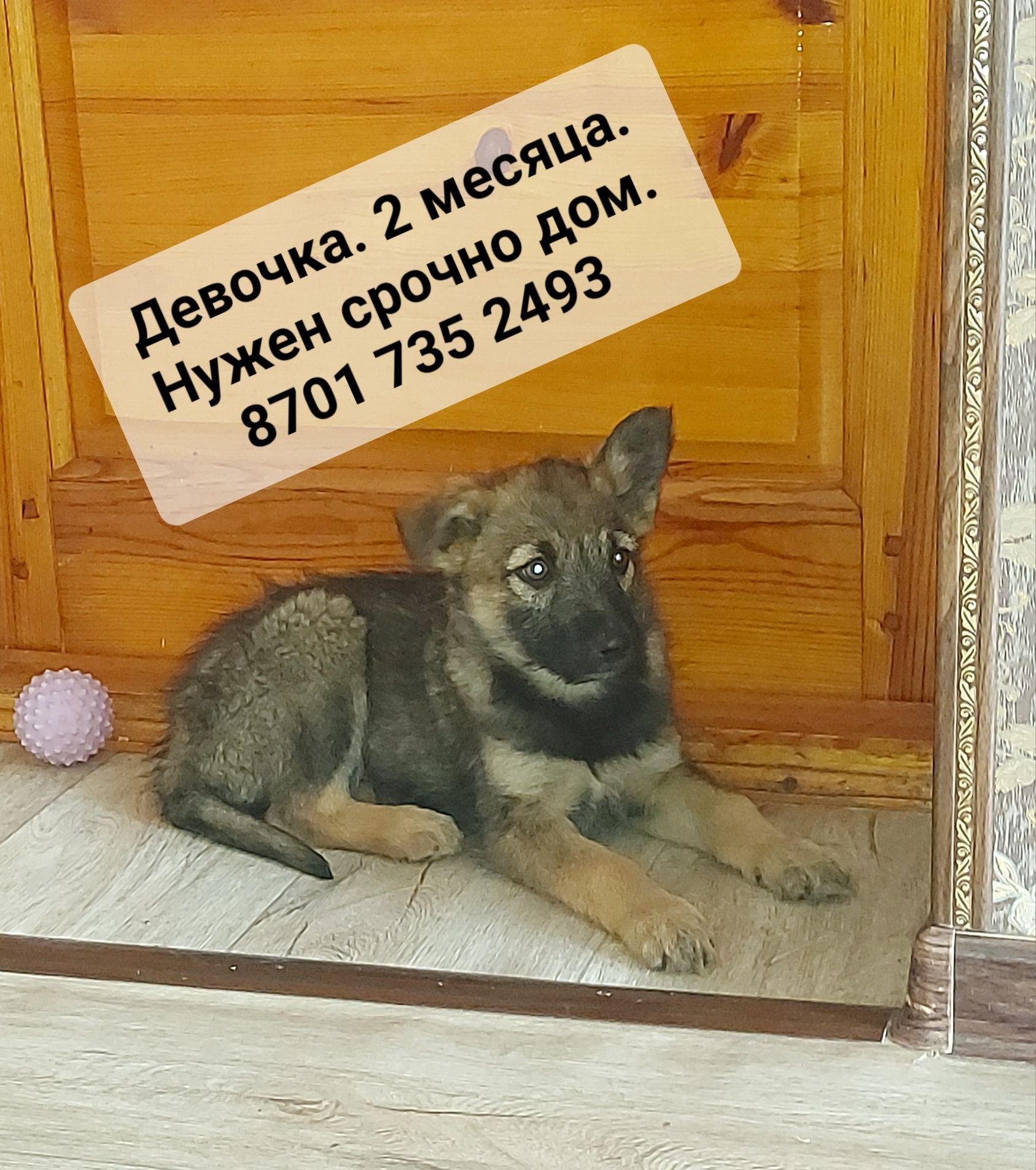 Малышам срочно нужен дом.