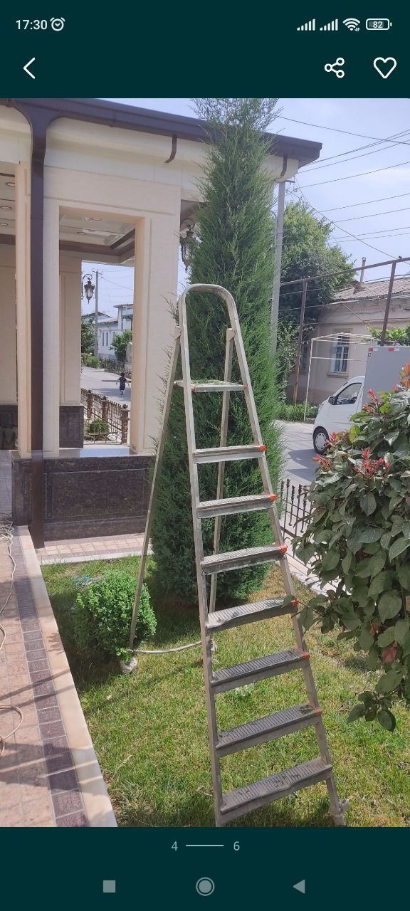 Archalar ekish dorilash kesish xizmati