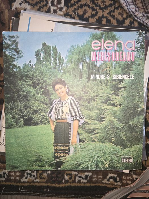 Discuri  de vinil