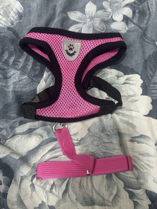 Шлейка для малиньких пород