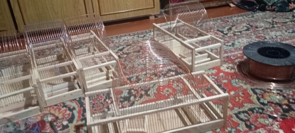 Chertma qopqon 2 Tali