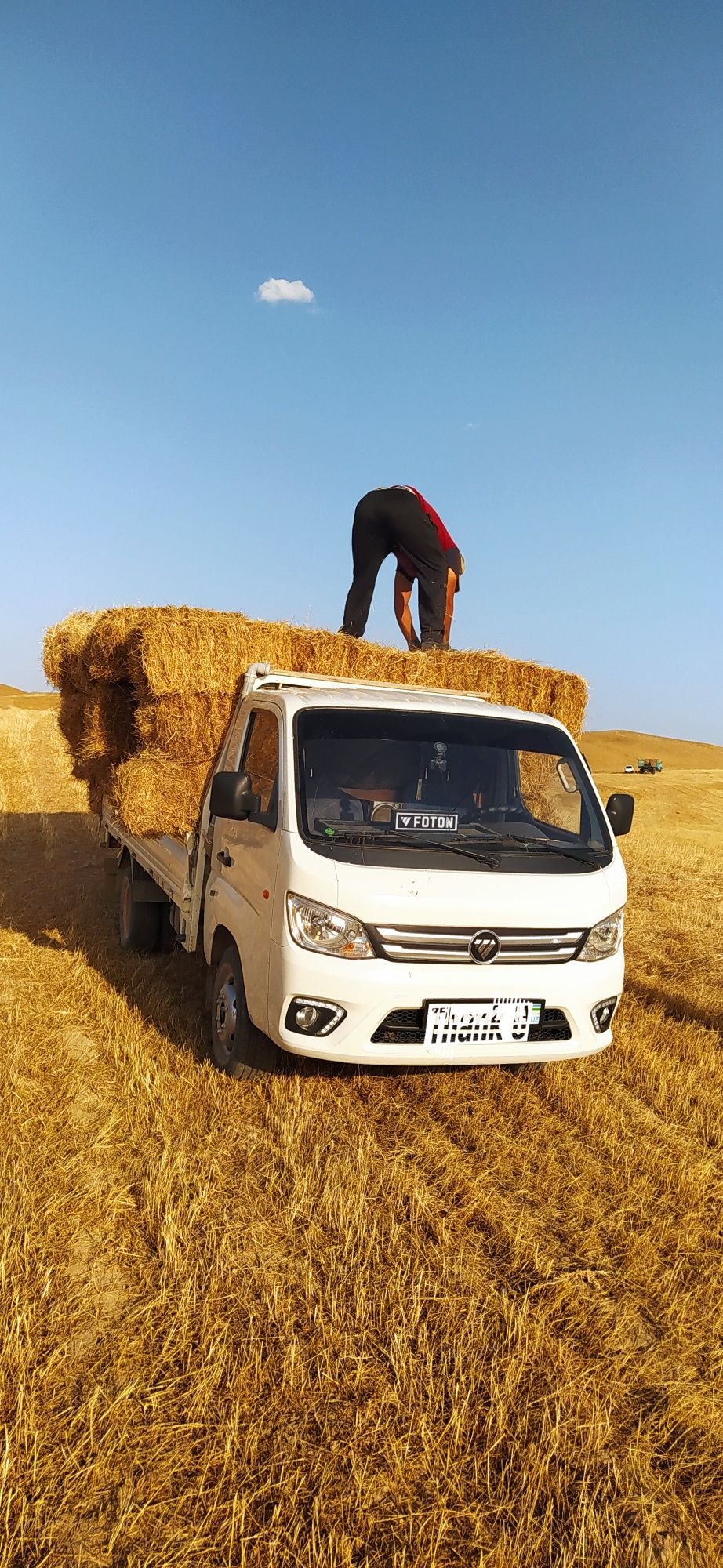 Foton 2018 hamma joyi radnoy