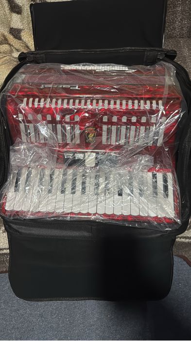 Vind acordion parrot