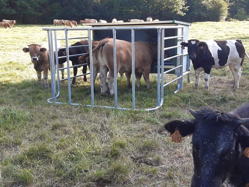 Boxa vitei cu buncar de furaje