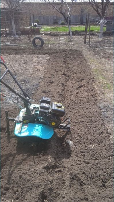 Обрезка деревьев опрыскивание