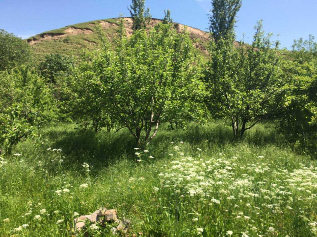 Продажа дом  в доль дороге  по дороге Амирсой