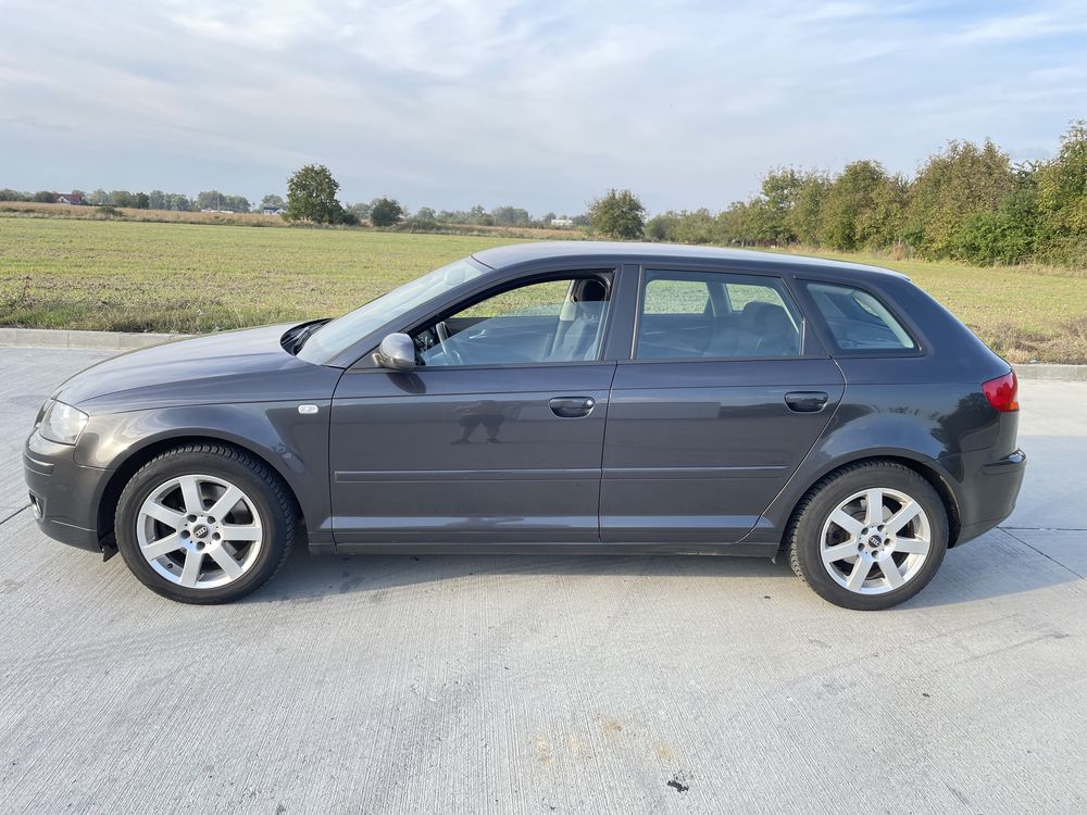 Audi A3 8P 2.0 TFSI