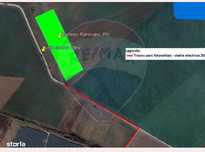Teren Investițional de 52500 mp în Ariceștii Rahtivani, Prahova