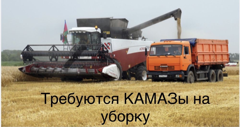 КамАЗ самосвал