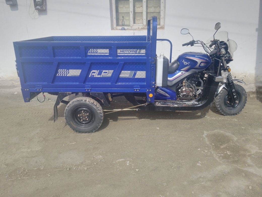 Alp motris mototsikl koʻp