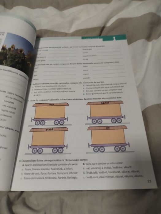 Limba și literatura română – Caietul elevului, Clasa a VII-a