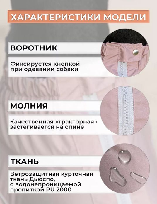 Костюм для собак