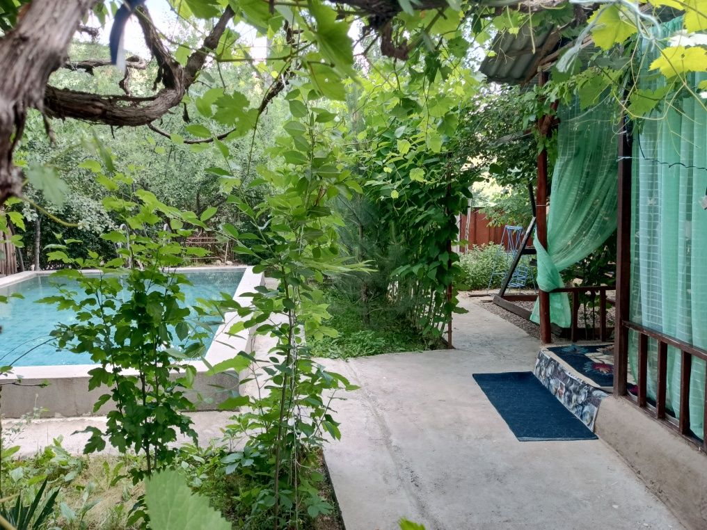 #Humsonda Dacha N1