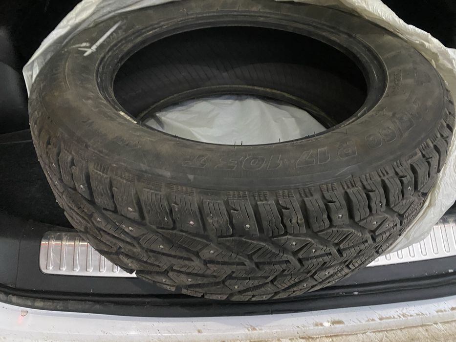 Шины зимние Tigar