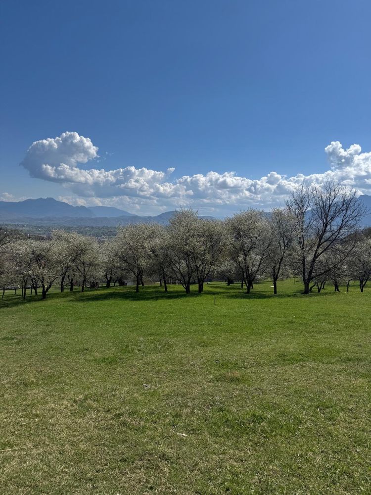 Teren la munte Bran Predelut - Via Transilvanica
