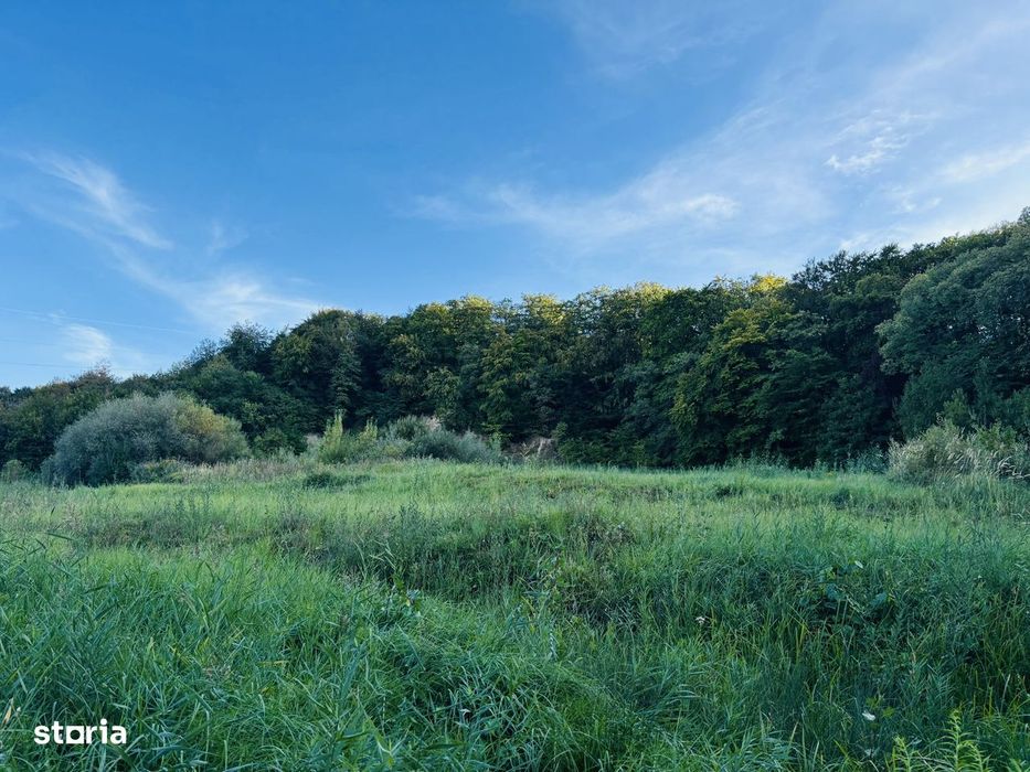Teren intravilan cu PUZ demarat, zona Wonderland