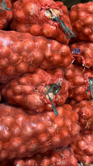 Продам лук с поля