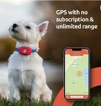 Pitpat Dog Gps Tracker