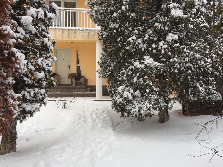 viitorul tău cămin alături de cei dragi
