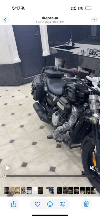 Benda 300-15 chinchilla