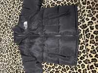 Geaca The north face
