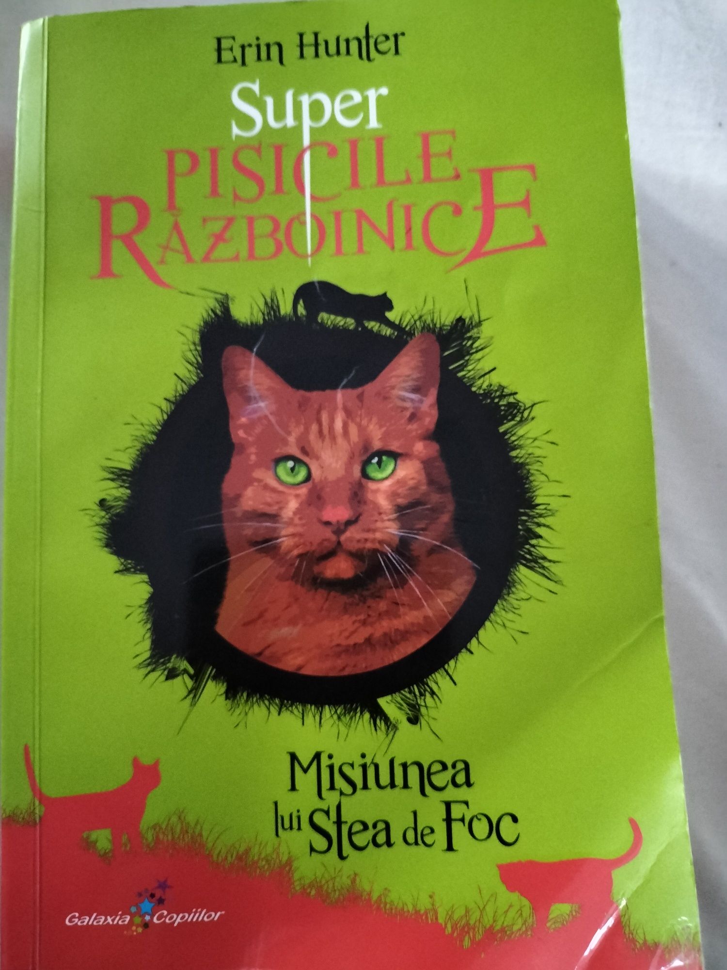 Super Pisicile Războinice Erin Hunter vol 1