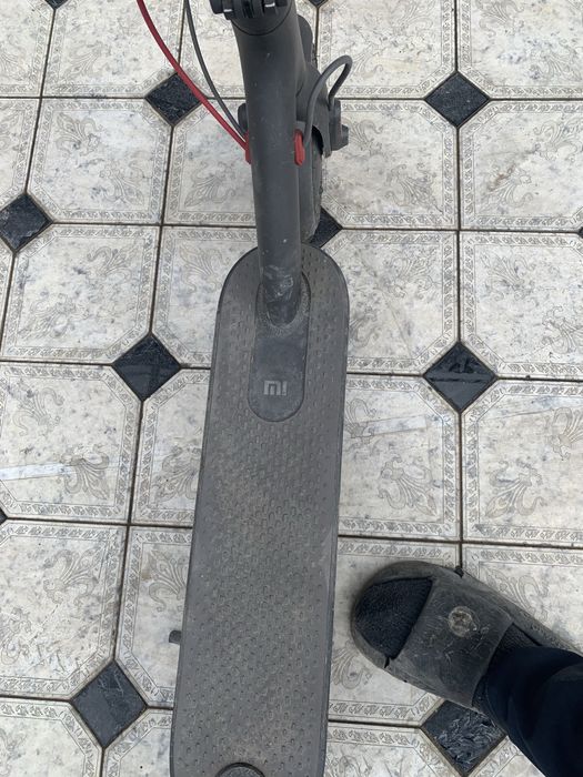 Mi eloktron samakat  250$ kami bor