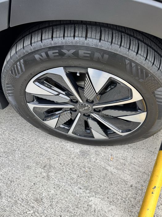 BYD Chempion smart 2025/26