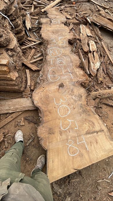 Продам карагач,слэбы  капового карагача, дуба, ясеня,клёна цена 400000