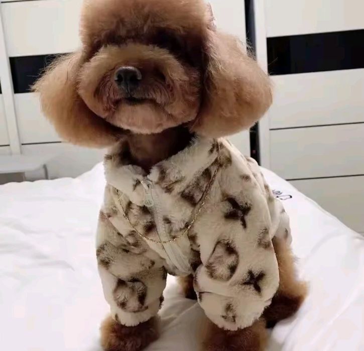 Дрехи за кученца