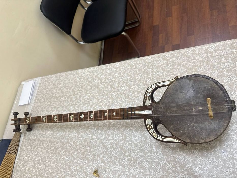 Qashqar rubobi professional