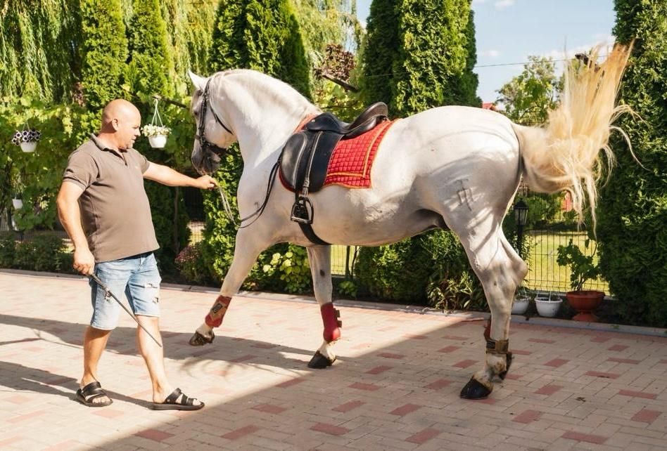 Vand Armasar Andaluz