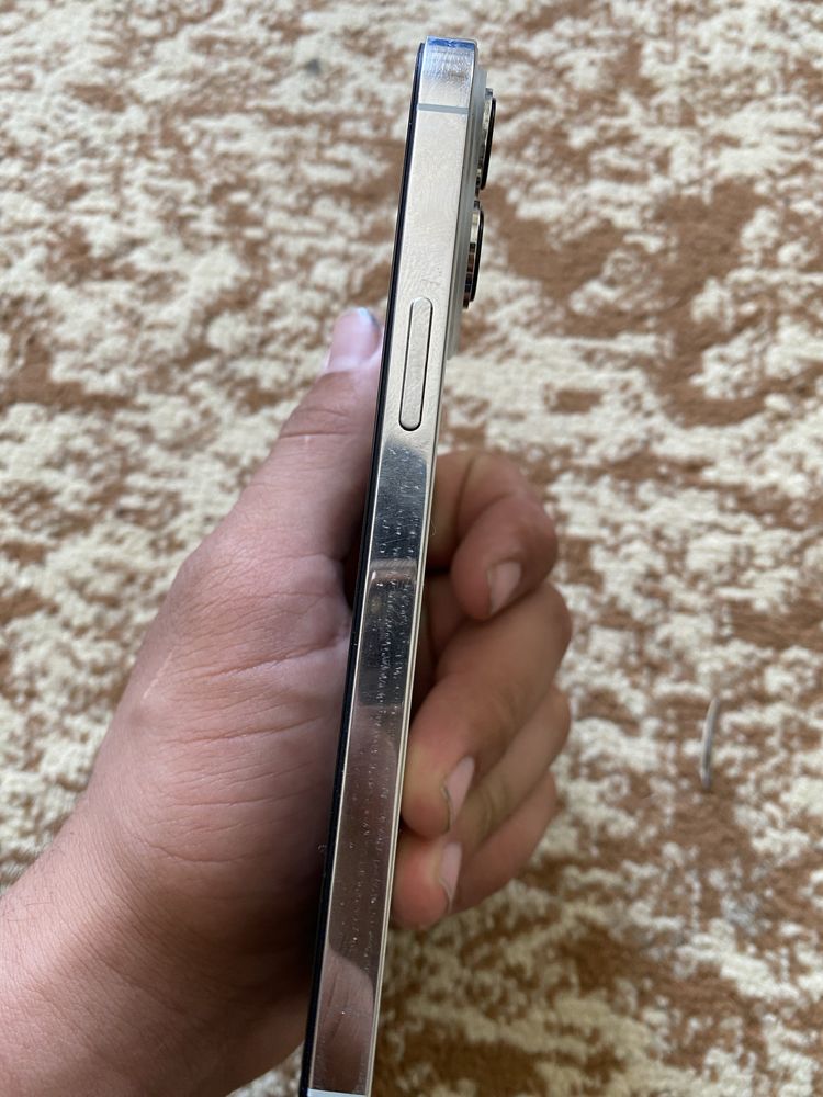 iphone 13 pro max srochni!