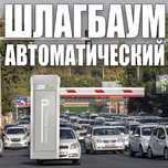 Автоматический шлагбаум ZKTeco ProBG2060 L/Р